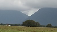 Fox Glacier in de verte