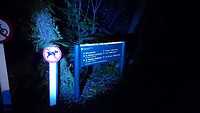 Avondwandeling