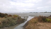 De baai bij Nelson