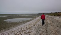 Puponga beach
