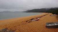 Totaranui