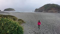 Wharariki beach