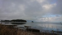 Collingwood