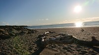 Punakaiki Beach bij zonsondergang