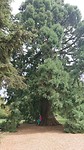 Botanische tuinen