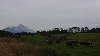 Mount Taranaki