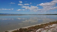 Miranda wetland met steltlopers en wolken reflectie