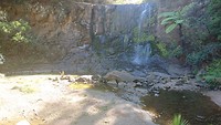 Mokoroa Falls