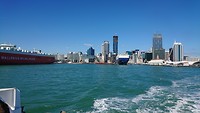 Skyline Auckland vanaf de ferry
