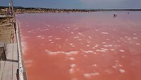 Roze zoutmeer