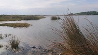 Meer  van Gruissan