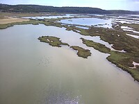 Flamingo's uit de lucht
