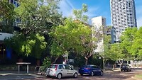 De straat met ons appartementje en het stadscentrum