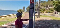 Swan lake Perth