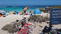 Little Salmon Bay