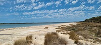 Trombolyten in lake Clifton
