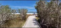 Lake Clifton Thrombolites