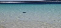 Two peoples bay