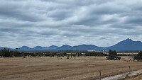 Bluf Knoll
