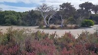 Estuarium Bremer Bay