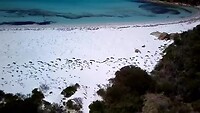 Bremer Bay (opnieuw)
