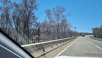 Verbrandde bomen langs de weg