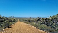 Lange weg door Fitzgerald NP