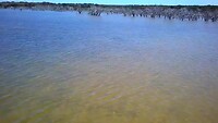 Skeleton Lake
