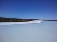 Pink lake