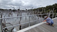 Skeleton lake