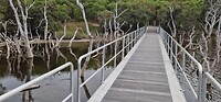skeleton lake