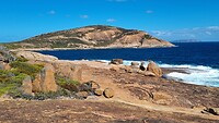Thistle Cove