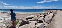 start van de dag...met de meeuwen