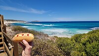 Plumpudding bij Fourth Beach