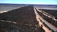 Omgeving Lake Grace