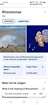 de kwal wordt via Google gevonden