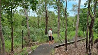 Wandelen door tropisch bos