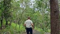Wandeling in tropisch woud inclusief vliegen