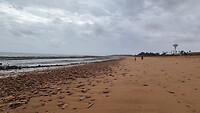 Strand bij eb, met "intertidal" reef