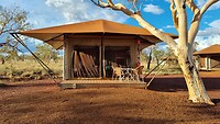 Onze luxe tent