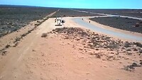 termietenheuvels Exmouth