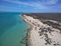 Lakeside Ningaloo reef