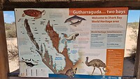 Shark bay