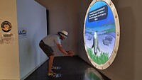 Je kunt hier de zeekoeien virtueel voeren met gras