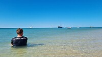 Lekker in het koele water van Shark Bay