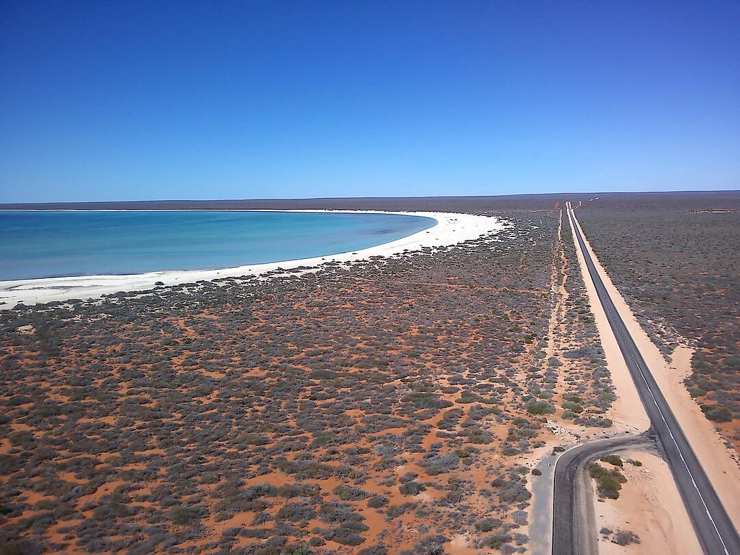 Shell Beach