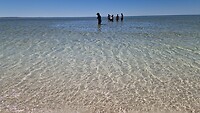 Het kristalheldere zoute water bij Shell Beach