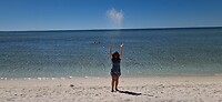 Shell Beach