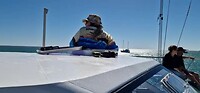 Schipper met apparte vaar technieken