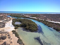 Little creek bij Little Lagoon